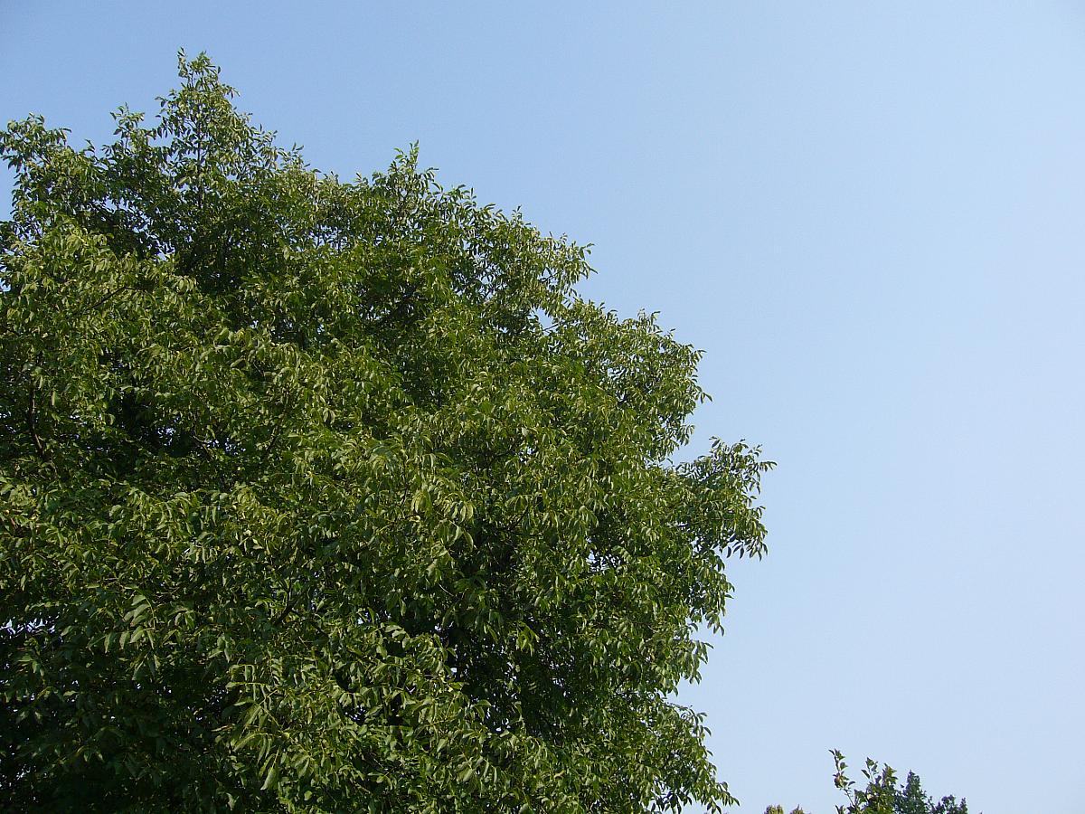 Krhová u Valašského Meziříčí